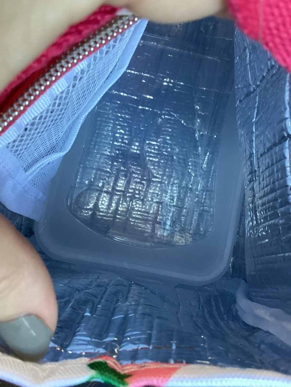 kate spade Strawberry Lunch Tote with Clear Storage Container